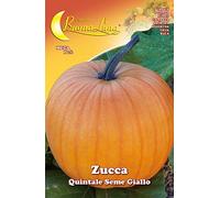 SEMI ORTO ZUCCA QUINTALE