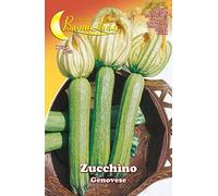 SEMI ORTO ZUCCHINO GENOVESE 10 PZ