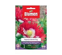 SEMI PAPAVERO DANISH FLAG BLUMEN