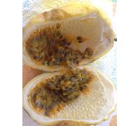 SEMI PASSION FRUIT (MARACUJIA) + PASSIFLORA EDULIS VARIETA' FLAVICARPA