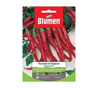 SEMI PEPERONCINO CAYENNA BLUMEN
