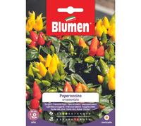 SEMI PEPERONCINO ORNAMENTALE BLUMEN SEMENTI