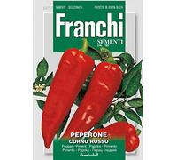 SEMI PEPERONE CORNO ROSSO DOPPIA BUSTA FRANCHI SEMENTI