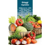 SEMI PER ORTAGGI E VEGETALI lattuga grandi laghi - brasiliana 20 PZ