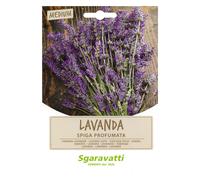 SEMI PER ORTAGGI E VEGETALI lavanda spiga- 20 pezzi - SGARAVATTI