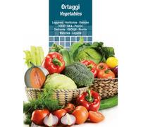 SEMI PER ORTAGGI E VEGETALI lavanda spiga
