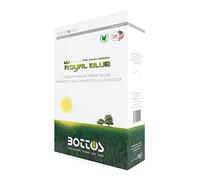 Bottos - ROYAL BLUE - Semi per Prato, Resistente alla siccità - Kg 1