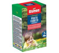 Semi per Prato Fiorito con Margherite Blumen