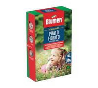 Semi per Prato Fiorito Giapponese nano 500 g Blumen