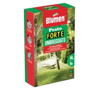 Semi per Prato Forte Ombreggiato Blumen
