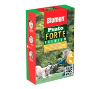 Semi per Prato Forte Premium Blumen