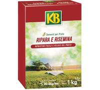 Semi per prato Ripara e Risemina KB 1kg