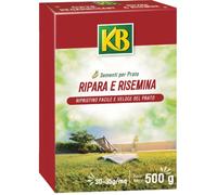 Semi per prato Ripara e Risemina KB 500g