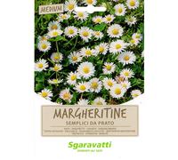 SEMI PER PRATO UNIVERSALE margheritine semplici da prato- 20 pezzi - SGARAVATTI