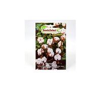 Semi Pianta Del Cotone