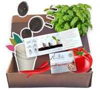 SEMI PIANTABILI (SEMI GOURMET PIZZA: basilico, pomodoro, peperoncino - KIT GERMINAZIONE COMPLETO)