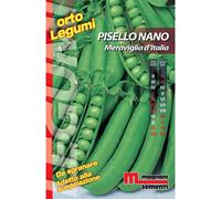 Semi Pisello nano Meraviglia d` Italia 100 g