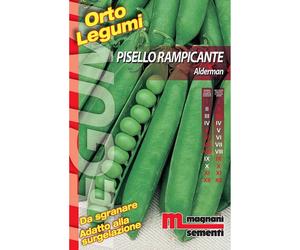 Semi Pisello rampicante Aldeman 200 g