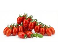 Semi Pomodorino Datterino Principe Borghese | Semi di Pomodoro Ibrido Produttivo ad Alta Germinazione | Ideali per Orto, Vaso e Serra | Varietà Dolce e Resistente