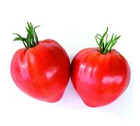 Semi Pomodoro Cuor di Bue Franchi Sementi 1g