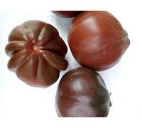 Semi Pomodoro Cuore di Bue Nero Varietà Nera 20 Semi Produzione 2024