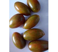 SEMI POMODORO ZEBRINO LUNGO