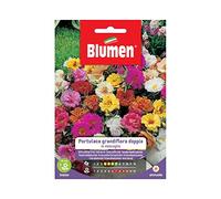SEMI PORTULACA GRANDIFLORA DOPPIA BLUMEN SEMENTI FIORI