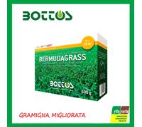 SEMI PRATO BERMUDAGRASS GRAMIGNA MIGLIORATA BOTTOS 500 GR RICERCATO RESISTENTE