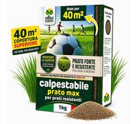 Semi Prato Calpestabile Resistente Aree Gioco, per Tappeti Erbosi 1 Kg per 40 mq