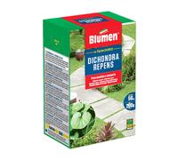Semi prato Dichondra Repens 200g