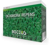 Semi prato dichondra repens da 1 kg. Bottos