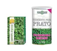 SEMI PRATO DICHONDRA REPENS- - gr.100 per mq.10 di prato - 5 pezzi FRANCHI