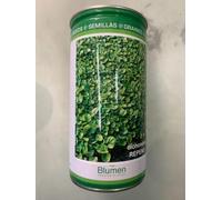 Semi Prato Dichondra Repens Gr 500