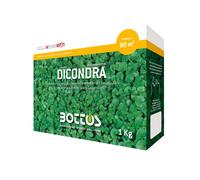 SEMI PRATO DICONDRA 1 KG ERBA RESISTENTE TOLLERANTE OMBRA SEMINAGGIO GIARDINO CA