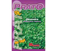 Semi prato Dicondra 100 g