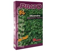 Semi prato Dicondra 200 g