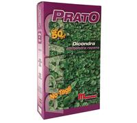 Semi prato Dicondra 500 g