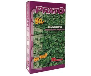 Semi prato Dicondra 500 g