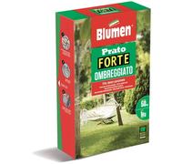 Semi prato Forte ombreggiato Blumen 1 kg