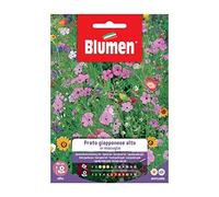 SEMI PRATO GIAPPONESE ALTO MIX BLUMEN