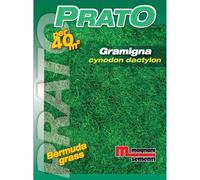 Semi prato Gramigna 500 g
