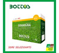 SEMI PRATO GRAMIGNA MACROTERME 1 KG BOTTOS FORTE RESISTENZA RUSTICA