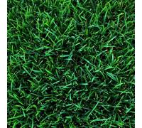 Semi Prato Inglese SUPREME ICL Professionale per giardinieri Verde Brillante 5KG