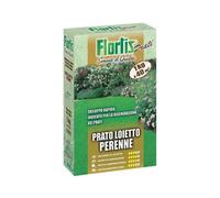 Semi prato Loietto FLORTIS Ideale per trasemine, rigenerazioni - Sviluppo rapido