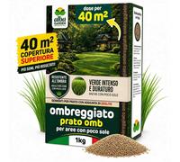 Semi Prato Ombra Resistente Aree Ombreggiate, per Tappeti Erbosi 1 Kg per 40 mq