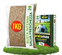 Semi Prato Resistente Al Calpestio 40m² Sementi Erba per Tappeti Erbosi per Aree