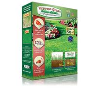 Semi prato resistente - Tappeto erboso professionale - Germinazione ultra veloce e densa (14 giorni) - resistente alla siccità e al freddo (1 scatole - 50M²)