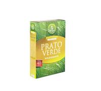 Semi Prato Resistenti per Terreno Soleggiato e Buona resistenza, Sementi da Giardino ad alta Germinabilità, Semi per Insediamento Facile, Resistente al Calpestio, Manutenzione Economica, 40 Mq