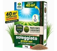 Semi Prato Soleggiato Resistente Siccità Afa, per Tappeti Erbosi 1 Kg per 40 mq