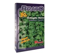 Semi prato Trifoglio nano 200 g